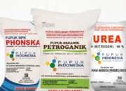 Penulisan Dugaan Penjualan Pupuk Subsidi di Desa Bangunsari oleh Oknum Poktan Berbuntut Panjang