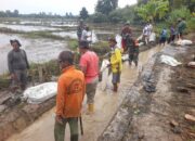 Sambut Kemerdekaan Ke-80 RI, Koramil 1412-05/Pakue, Kodim 1412/Kolaka Gelar Karya Bakti Bersihkan Drainase Persawahan