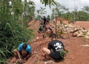 Pelestarian Alam, Satgas TMMD 126 Kodim 0801/Pacitan Tanam Pohon bersama Masyarakat