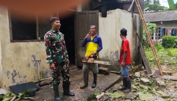 Sigap Atasi Bencana Pohon Tumbang, Babinsa Koramil 0801/01 Pacitan Himbau Warga Untuk Waspada