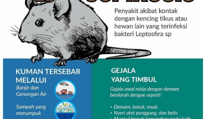 Bahaya Leptospirosis Di Musim Panen Yang Harus Kita Perhatikan