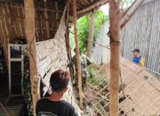 Rumah Tidak Layak Huni Milik Lulus Mulai Dibongkar Satgas TMMD