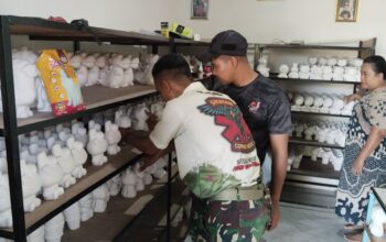 TMMD Gresik Hadirkan Harapan Baru bagi Pelaku Usaha Desa