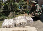 Sertu Bambang Turun Tangan Bantu Pengecatan Celengan UMKM Doni