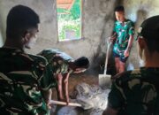 Ada 10 Unit Pembangunan Rumah Tidak Layak Huni di Program TMMD Kodim 1511/P.Moa