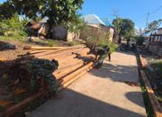 Anggota Satgas Sedang Lakukan Pemilihan Kayu Glugu