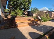 Kayu Glugu Paling Kuat untuk Atap Rumah